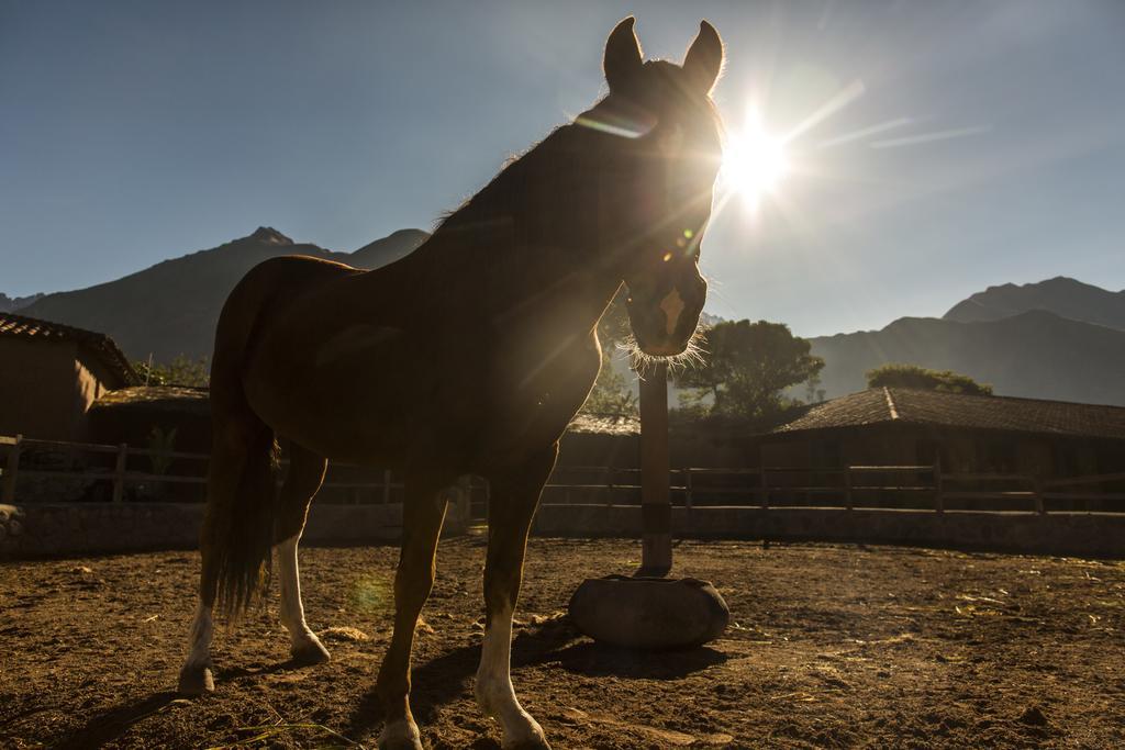 Sol Y Luna - Relais & Chateaux Sacred Valley Экстерьер фото