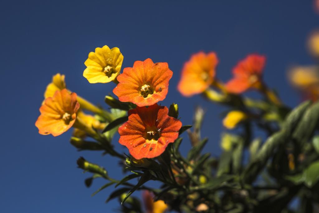 Sol Y Luna - Relais & Chateaux Sacred Valley Экстерьер фото